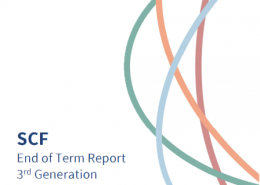 Report preview